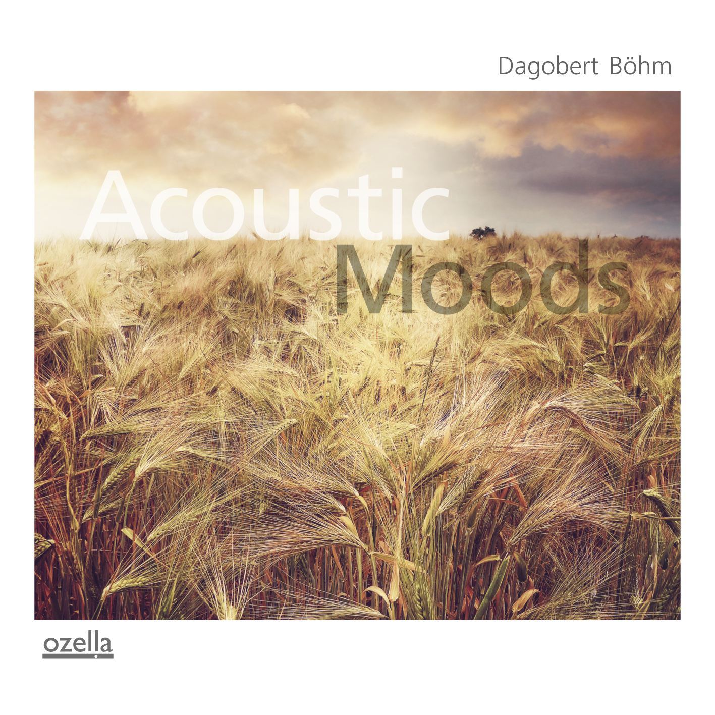 Acoustic Moods