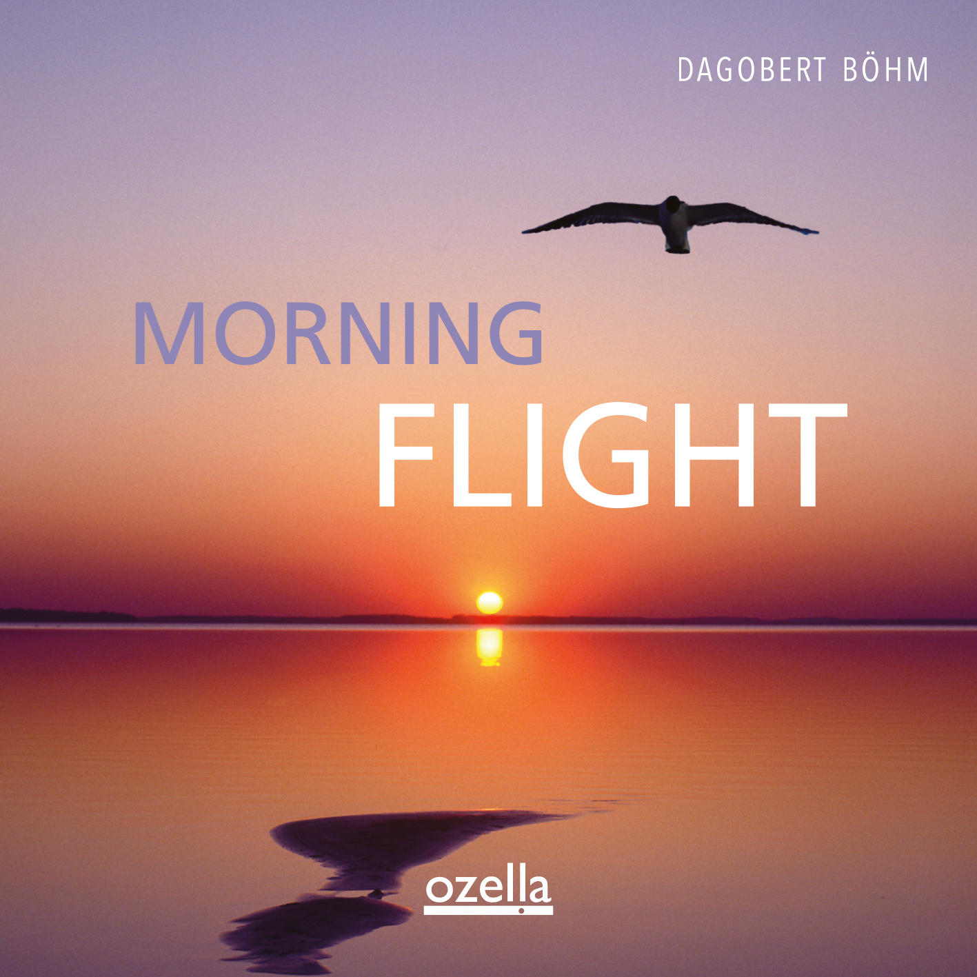 Morning Flight